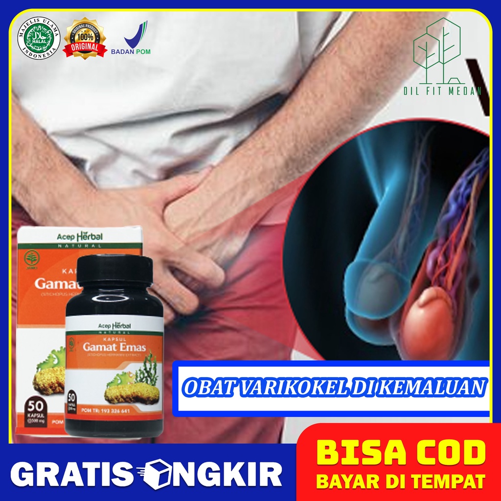 Obat Buah Zakar Bengkak Obat Varikokel Testis Bengkak Sebelah Kiri Testis Nyeri Testis Turun