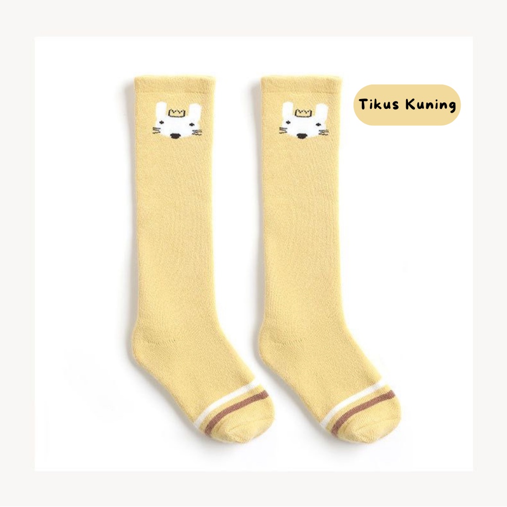 kaos kaki bayi lucu warna warni untuk usia 0-2 tahun / kaos kaki panjang anak keren import premium