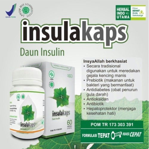 

HIU | Herbal Indo Utama - Insulkaps ( Kapsul Daun Insulin) 60 kapsul | Meringankan Gejala Kencing Manis