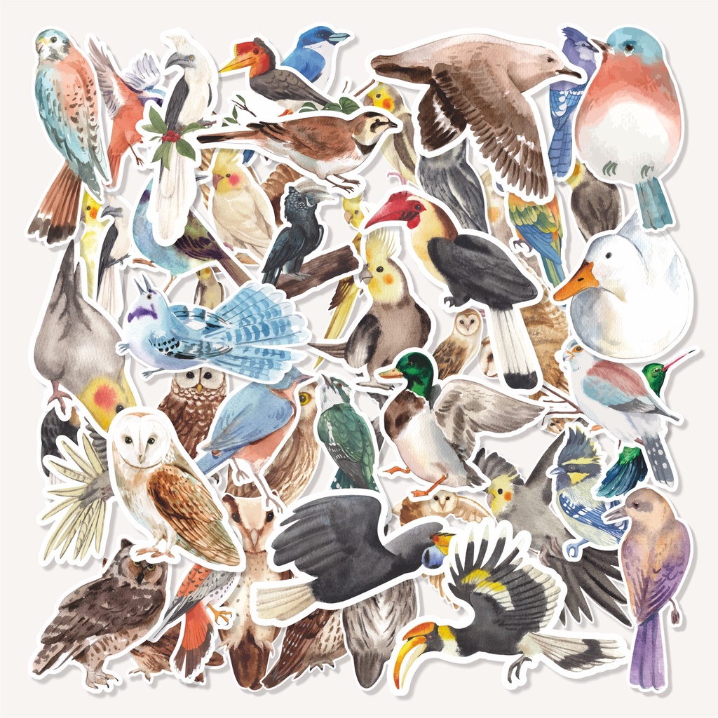 

( 50 pcs ) random stiker murah tema BIRD WATERCOLOR/bisa cutting