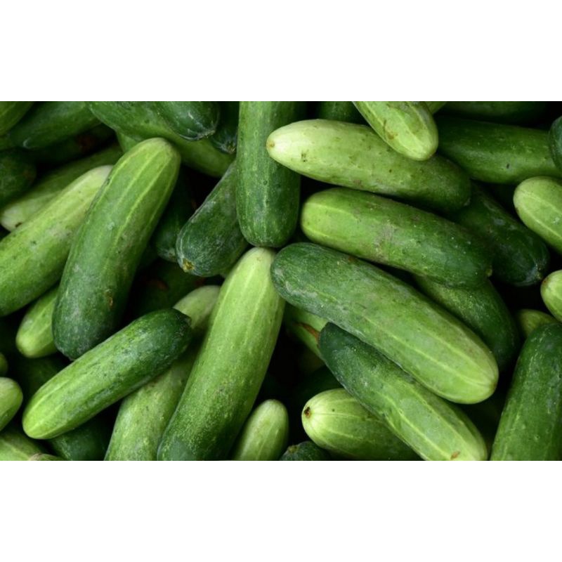 

TIMUN 250g