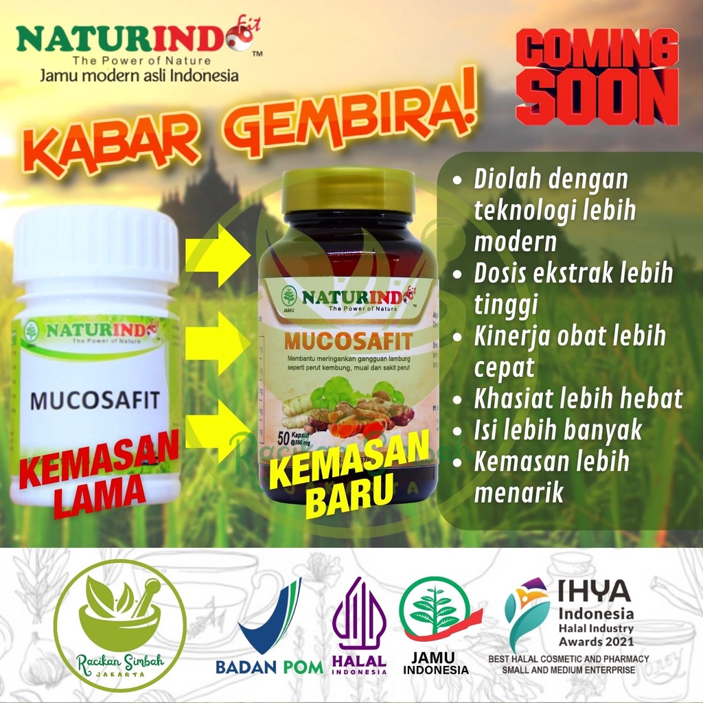 Obat Sakit Asam Lambung Maag Begah Sendawa Obat Herbal Sakit Maag Obat Asam Lambung Maag Kronis Obat