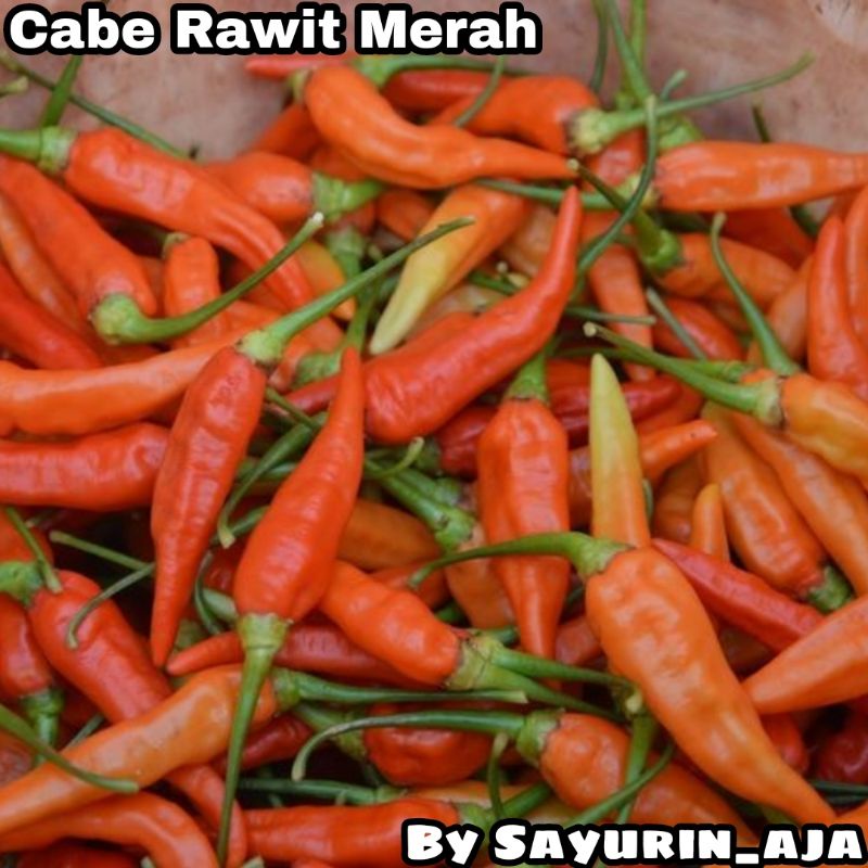 

Cabe rawit merah 250gr