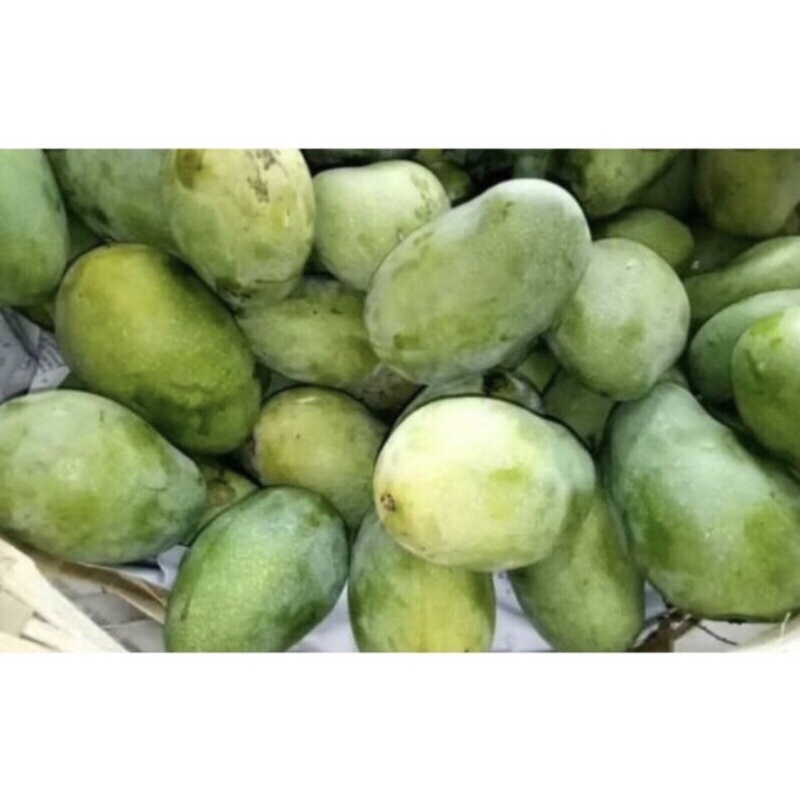 

PROMO TERMURAH MANGGA GADUNG MATANG DARI POHON 1KG ISI BANYAK