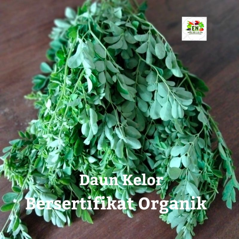 

1pack Sayur Daun Kelor 100% Sertifikat Vegetable Murah Sehat Healthy Life Grosir Supermarket
