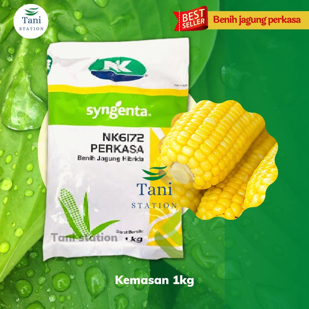 Benih Jagung Perkasa 1kg