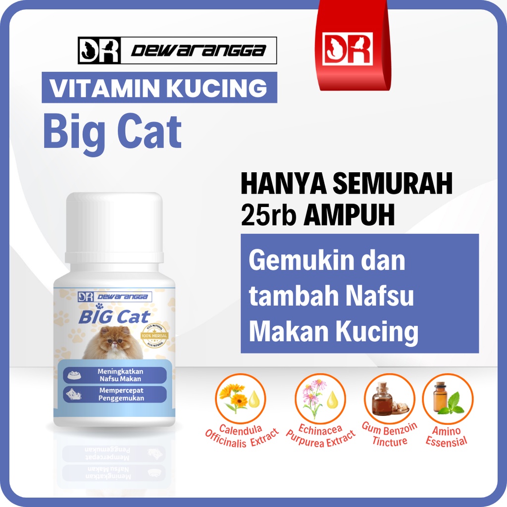 Vitamin Kucing BIG CAT Dewarangga - Vitamin Nafsu Makan dan Penggemuk Kucing - Vitamin Kucing Nafsu