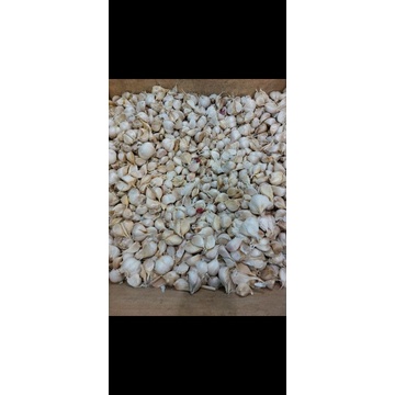 

Bawang putih Kating 1kg