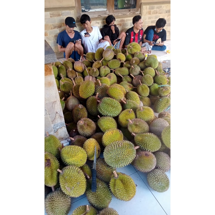 

DURIAN KHAS KUNINGAN JABAR SUPER NIKMAT