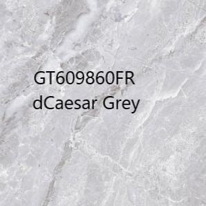 Granit Roman Lantai GT609860FR dCaesar grey 60x60 KW 1