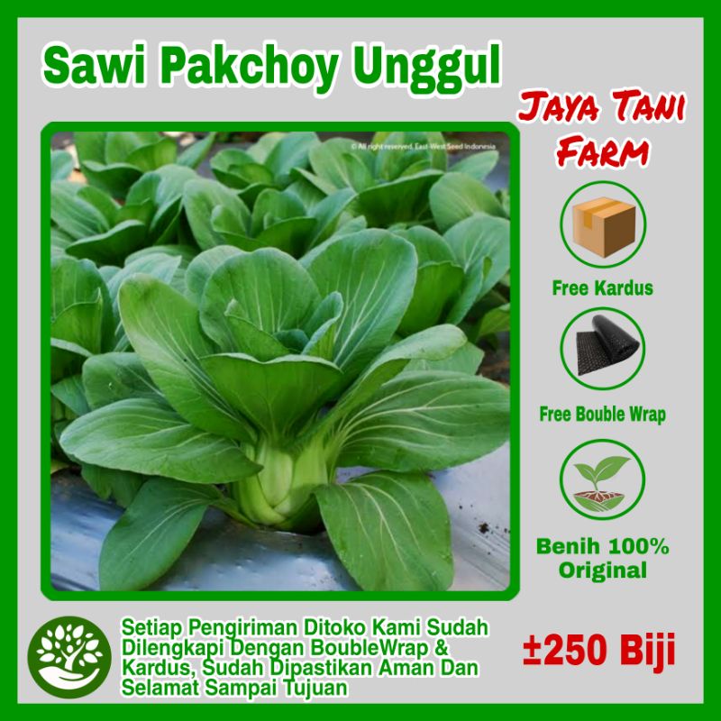 250 Biji Benih Sayuran Sawi Pakchoy Cap Panah Merah hibrida / Bibit Sayuran Pakcoy / Bibit Sayuran /