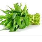 

kangkung segar 1 ikat