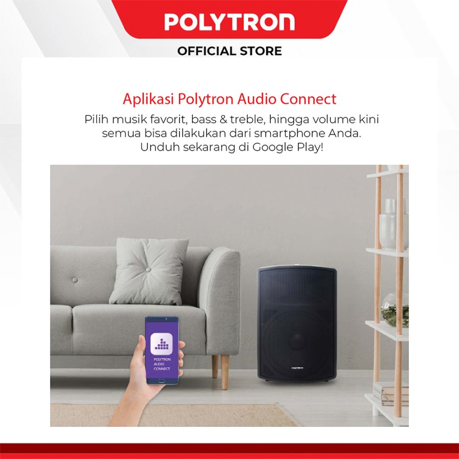 POLYTRON PAS PRO12F3 Professional Active Speaker