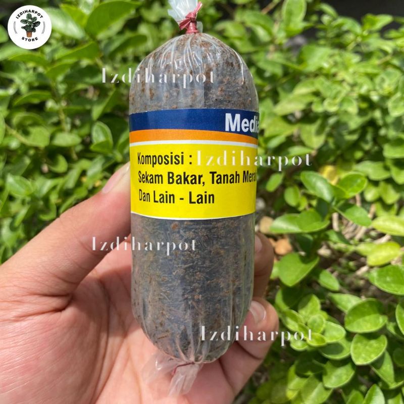 media mencangkok tanaman dalam plastik siap pakai alat cangkok - KECIL