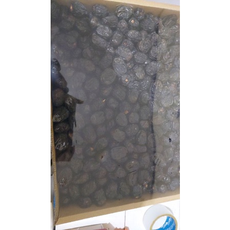 

Kurma Ajwa 5Kg Organic grade A / Kurma Nabi Aseli dari Madinah stock baru