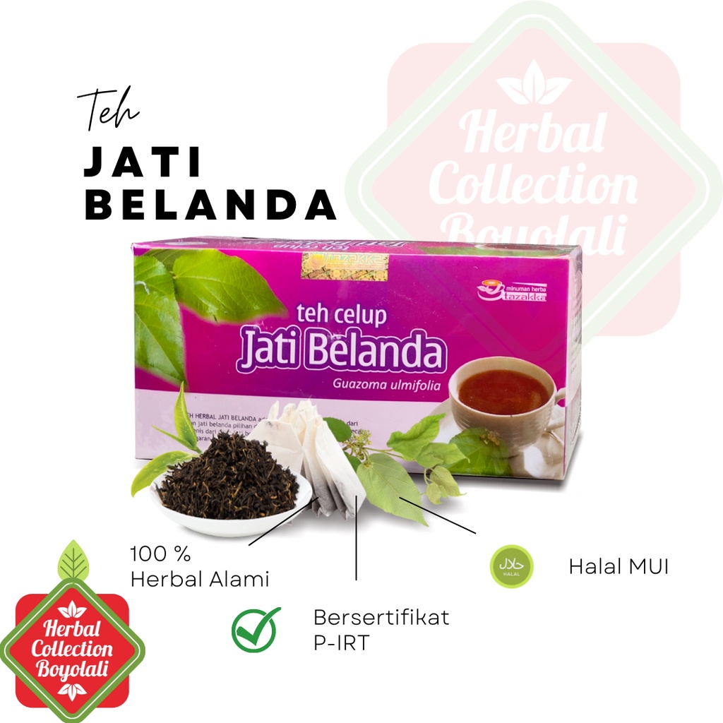 

Teh Herbal Jati Belanda Tazakka untuk mengurangi lemak ditubuh alami tanpa efek samping Halal aman alami detok alami