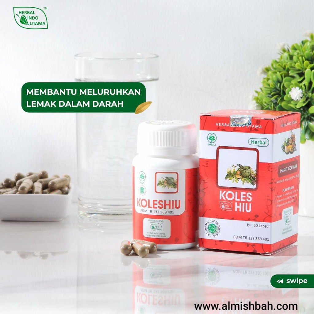 

KOLESHIU KOLES HIU Obat Herbal Kolesterol