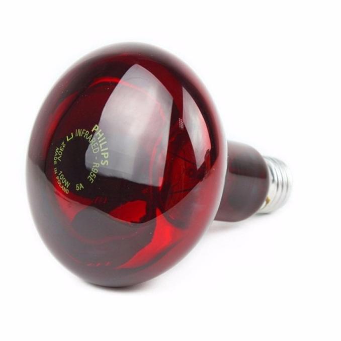 LAMPU TERAPI INFRARED PHILLIPS INFRA RED SINAR INFRAMERAH FISIOTERAPI
