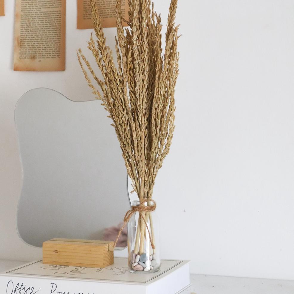 ォ Set bunga aesthetic, Vas aesthetic, Vas bunga, Vas bunga kering , AESTHETIC DRIED FLOWER ㆄ