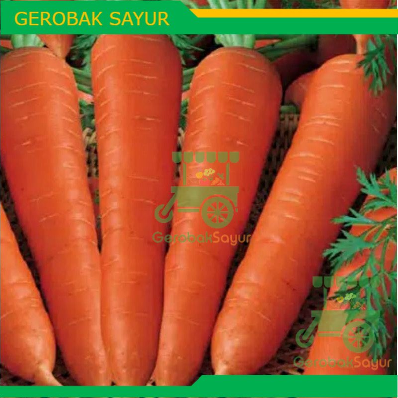 

Wortel Brastagi 500 g / Wortel Import