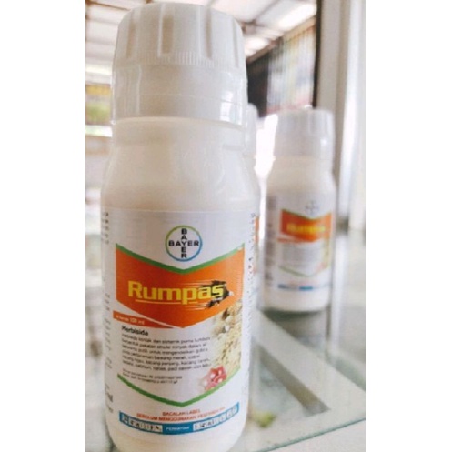 Herbisida RUMPAS 110 EW 100 mili basmi rumput pada Tanaman cabe, jagung dll