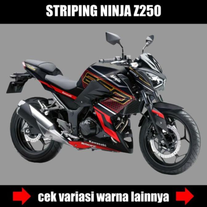 decal striping ninja z250/stiker variasi ninja z250