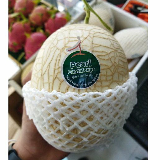 

Melon pearl Cantalope manis & Crunchy | pcs