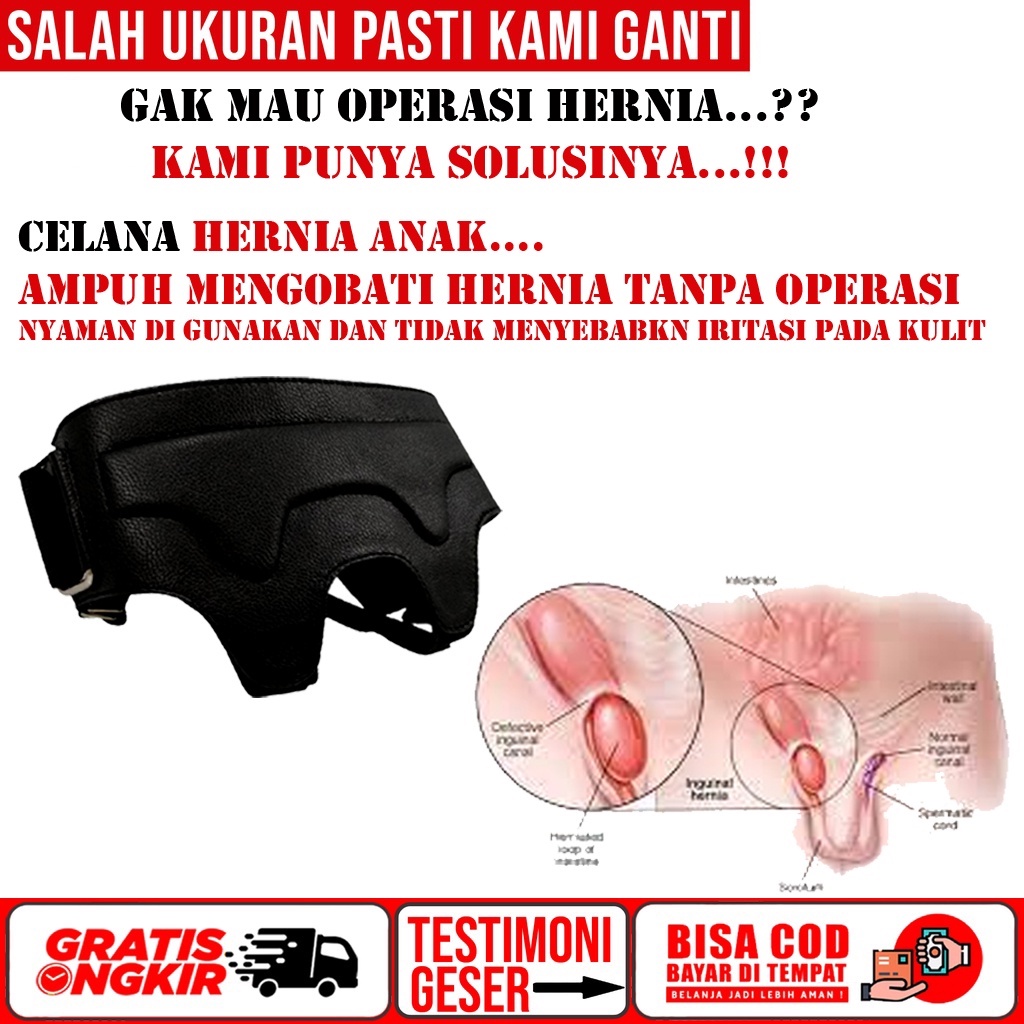 Obat Hernia Turun Berok Varikokel Testis Bengkak Paling Ampuh Original,celana hernia anak laki laki,