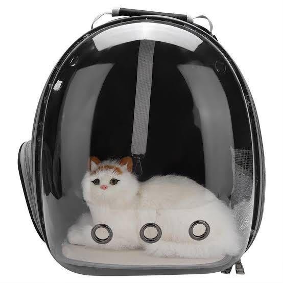 Cargo Tas Kucing Tas Ransel Astronot Kucing