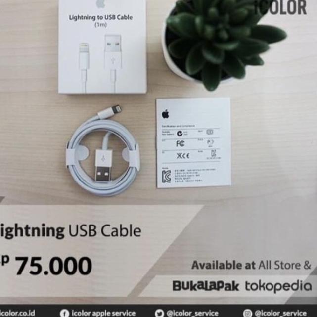 Lighting usb to lighting