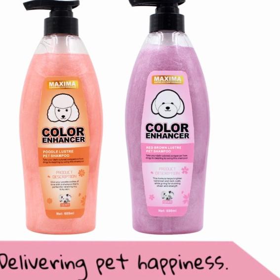 Shampoo anjing Poodle Red / Brown Maxima - Poodle shampoo