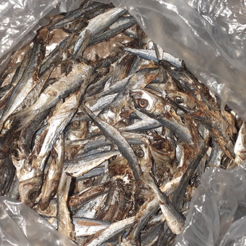 

ikan asin pindang/benggol