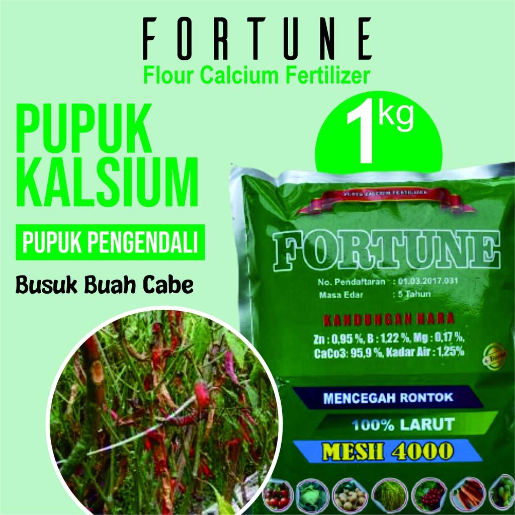 Pupuk Anti Keriting Cabe Fortune 1 KG Obat Semprot Organik Cabe Pupuk Anti Hama Cabe pupuk Cabe Buah