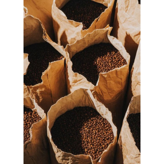 

Biji Kopi Roasting Arabika Gayo Aceh 1kg