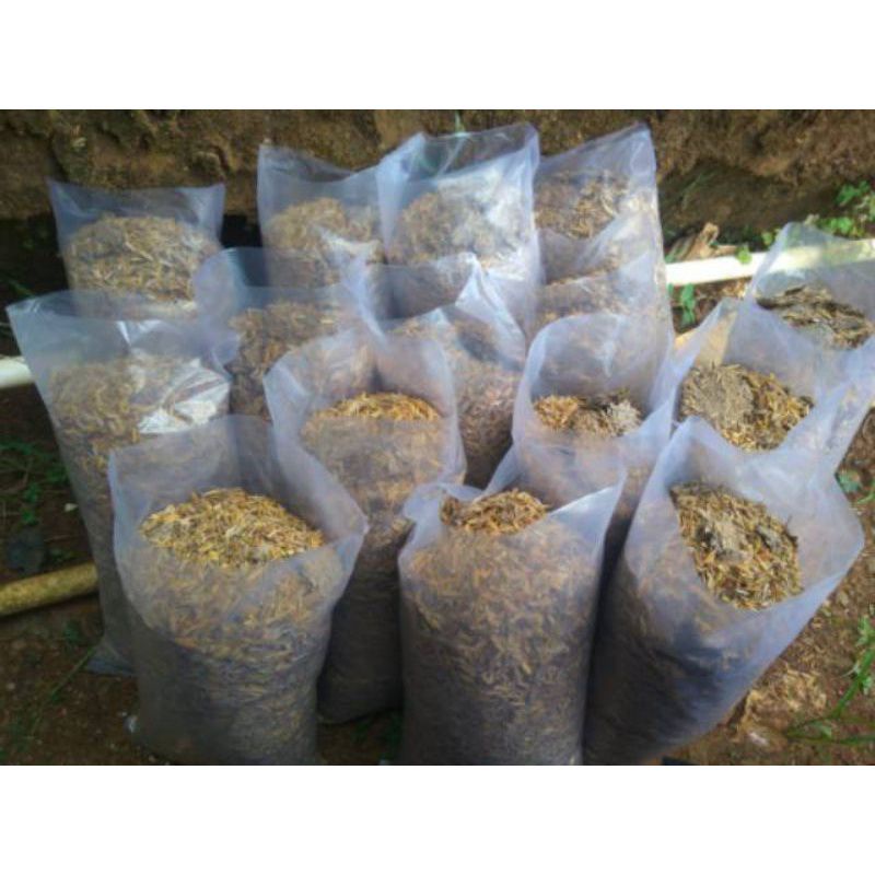 pupuk kandang/Pupuk organik/pupuk kotoran ayam