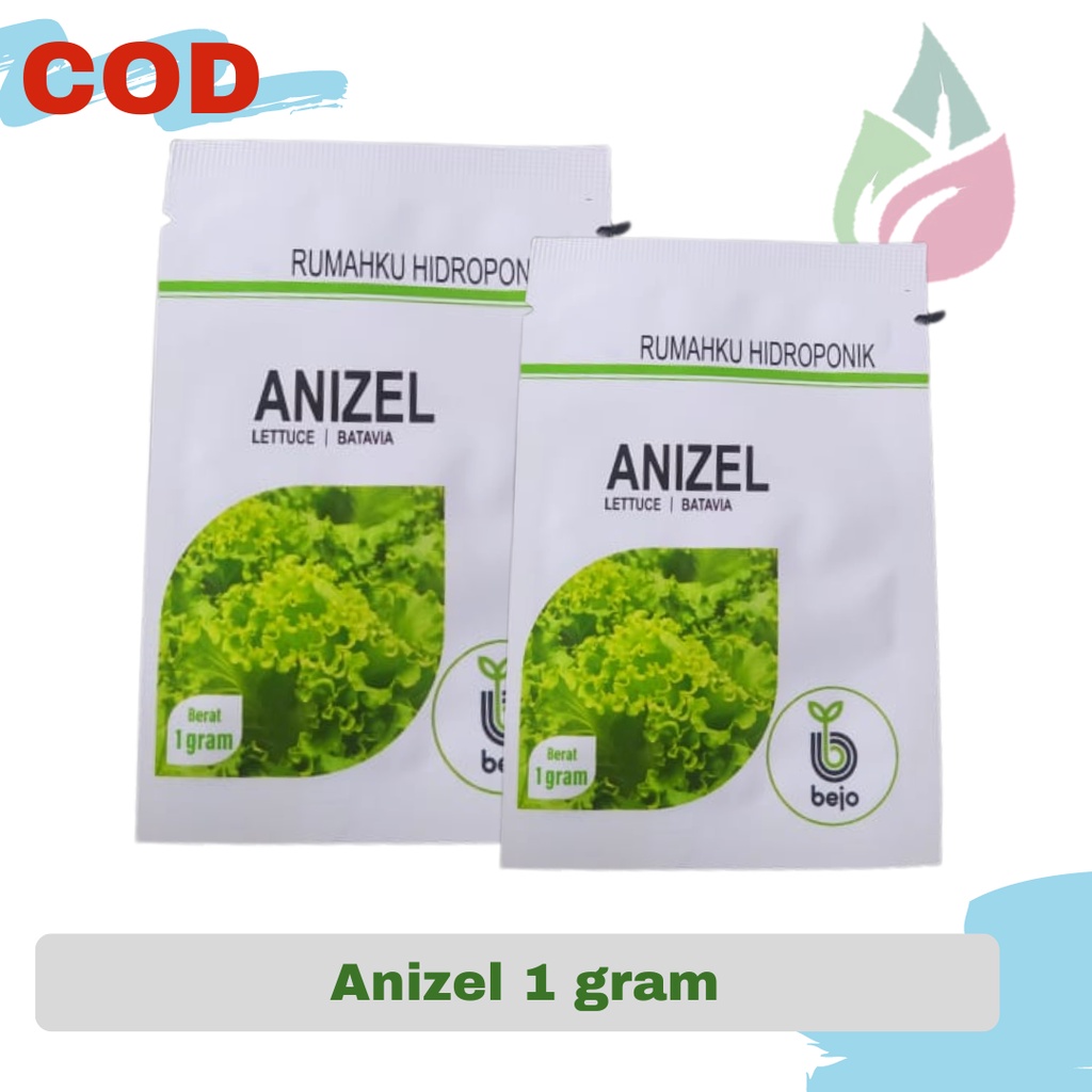 Benih  Bejo Anizel  Bibit Selada Batavia Hidroponik 1 Gram COD/Bayar di Tempat