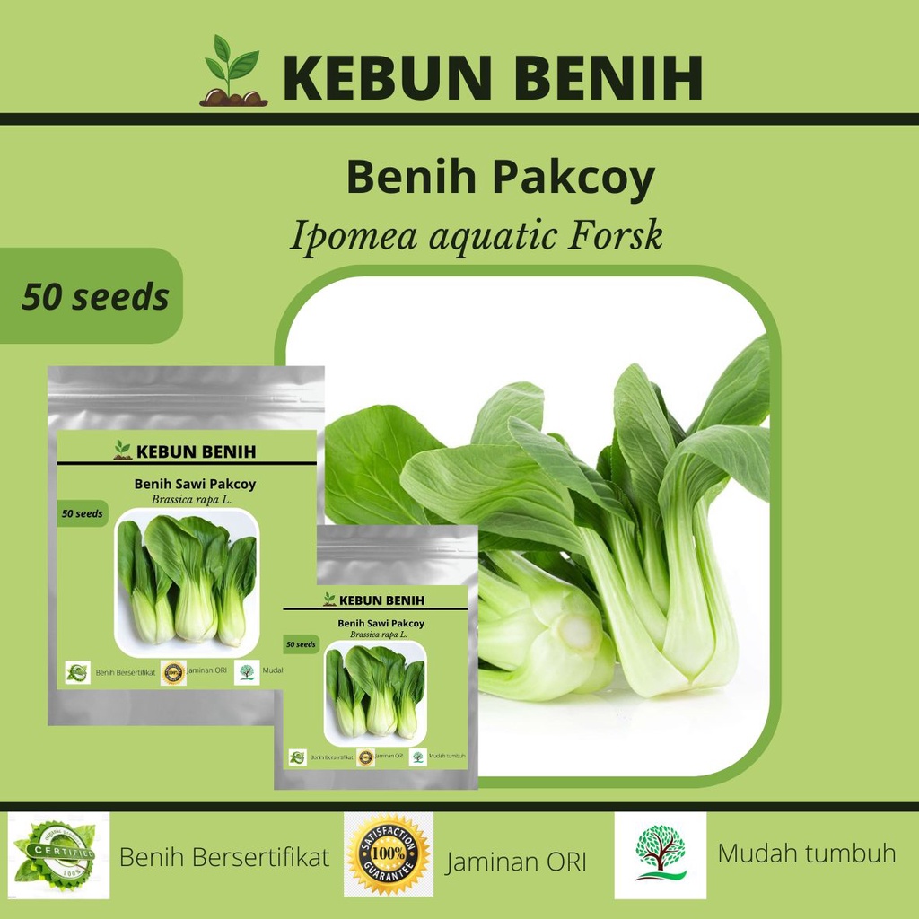 Benih Sawi Pakcoy Hijau/ Sawi Daging/ Benih Sawi Sendok Kualitas Unggul 50 Seeds