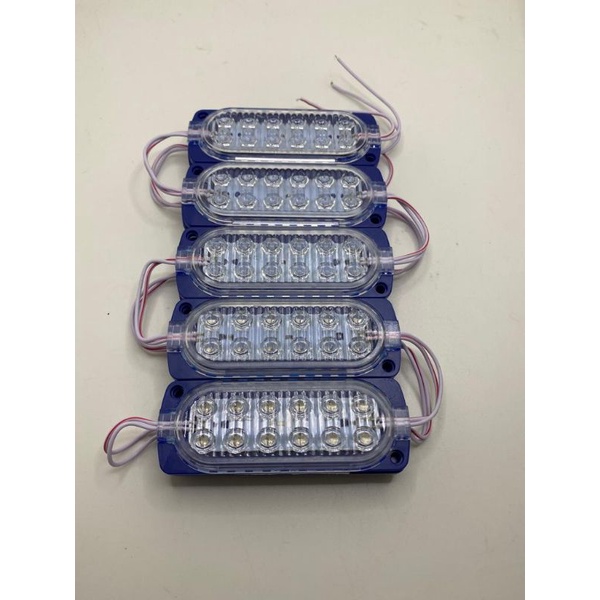 Lampu LED Module 12 Mata (2x6) 12 Volt / LED Modul 12V 2x6 Mata Besar