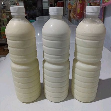 

SUSU SAPI PERAH MURNI