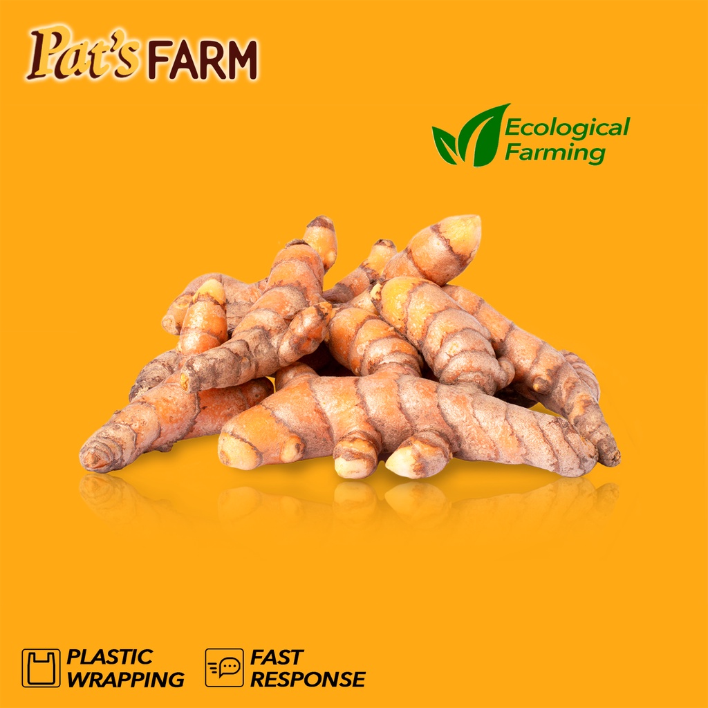 

Kunyit / Kunir / Koneng / Curcuma