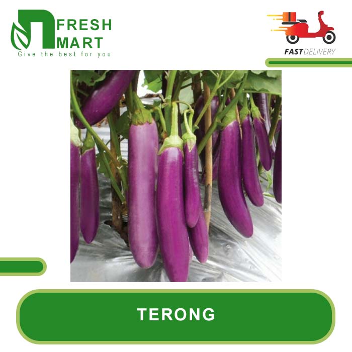 

TERONG UNGU ORGANIK 500g 1kg - N FRESH MART