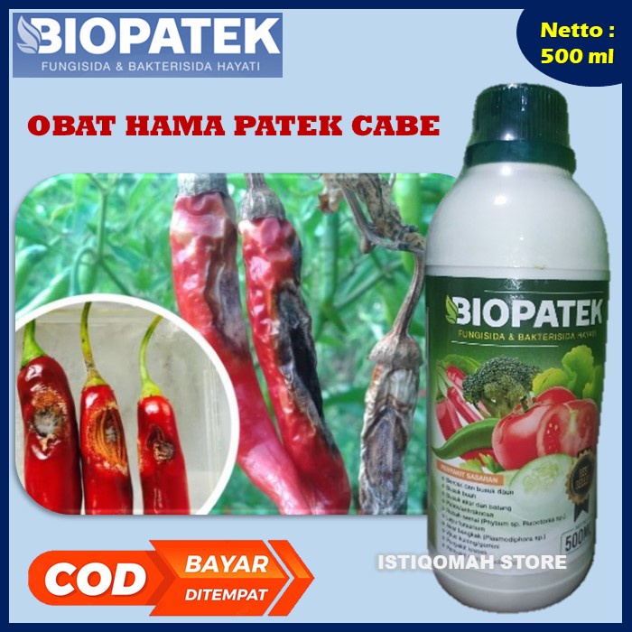 BIOPATEK 500ML Obat Semprot Tanaman Cabe Terbukti Ampuh Atasi Daun Kuning dan Keriting Pupuk Anti Pathek Cabe Pupuk Cabe Cepat Berbuah Pupuk Anti Hama Cabe Pupuk Anti Keriting Cabe Pupuk Atasi Daun Kuning Cabe Obat Patek Cabe