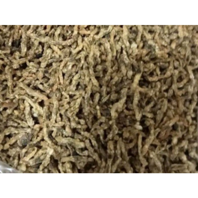

Lorjuk goreng siap saji (250gr) / Kerang Bambu