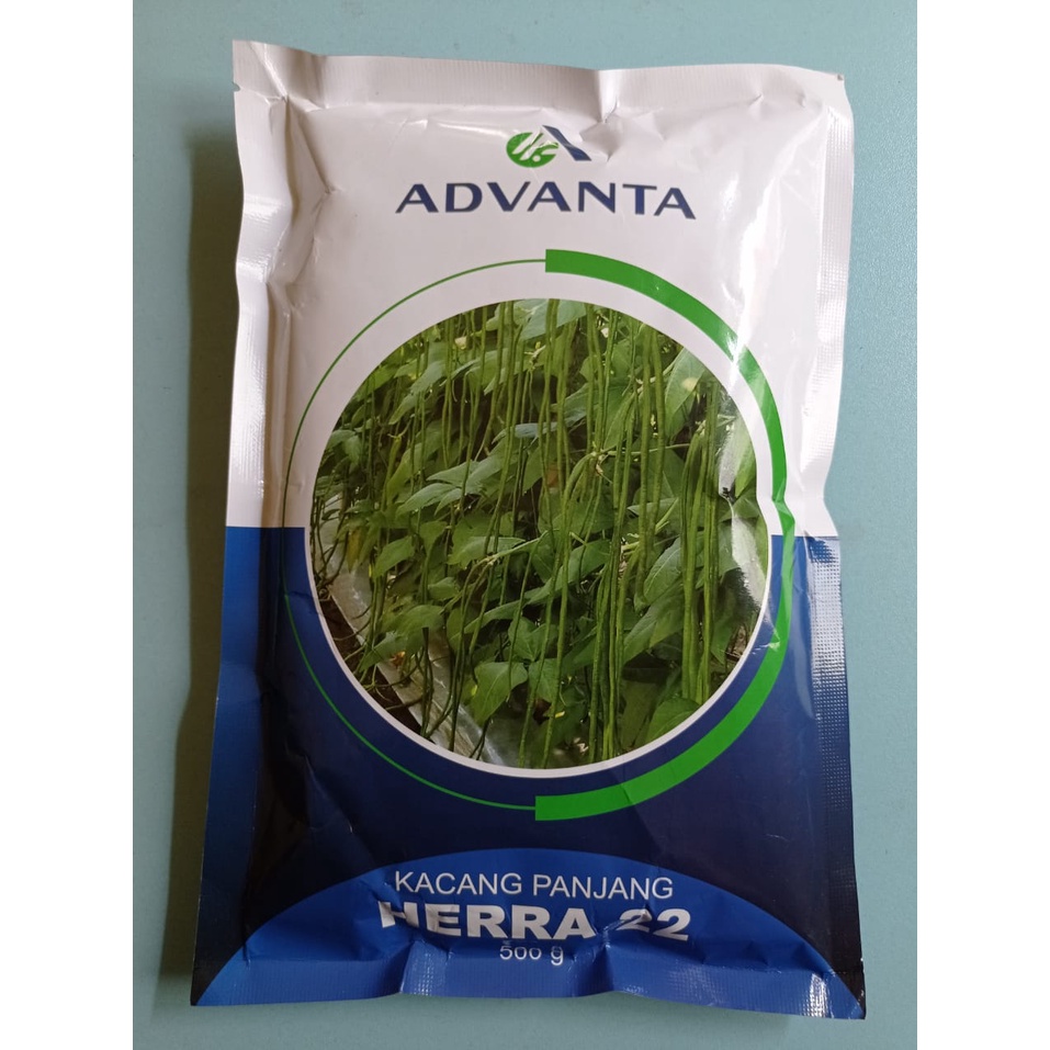 Benih Kacang Panjang HERRA 22 500gr Advanta
