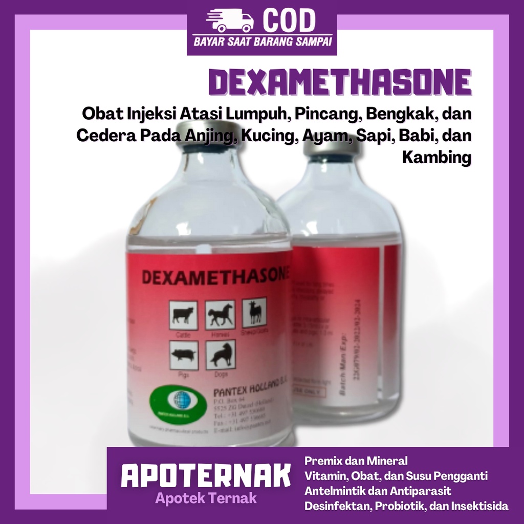 PANTEX DEXAMETHASONE 100 ml Dexa | Pantex Holland | Obat Injeksi Atasi Lumpuh Pincang Bengkak Cedera Pada Sapi Kambing Anjing Kucing Ayam Babi | DEXA - Mirip Glucortin
