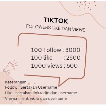 TIKTOK fOLLOWERS LIKE Dan Views