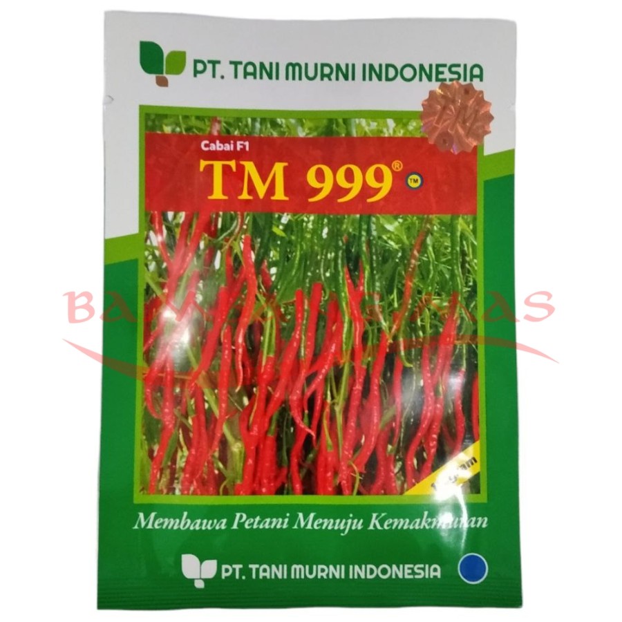Benih Cabe Cabai F1 TM999 TM 999 10 Gram Hibrida