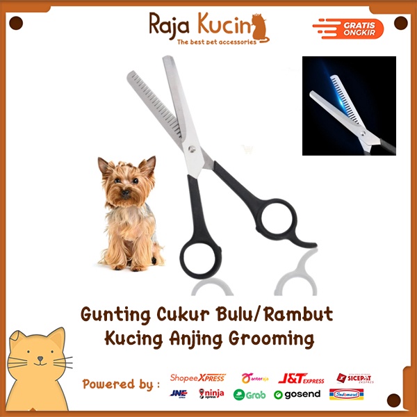 Gunting cukur bulu/rambut kucing anjing grooming