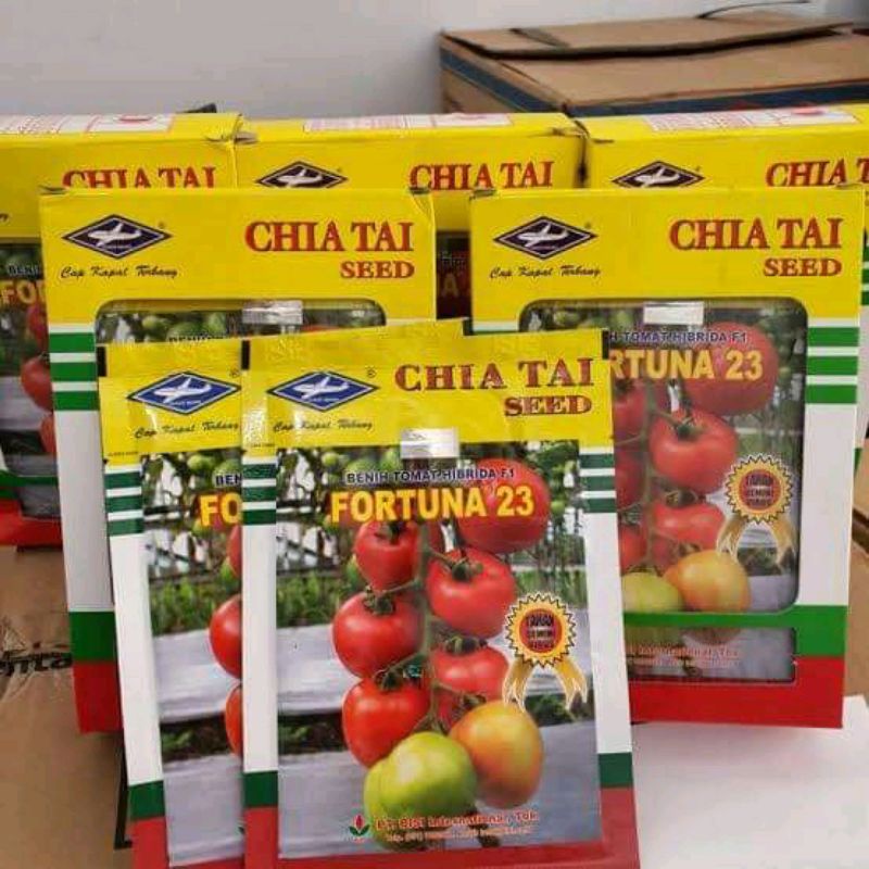 Benih/tomat fortuna 23
