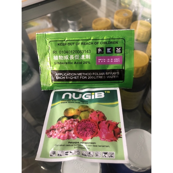 PAKET BIG GROW dan NUGIBB pembesar buah